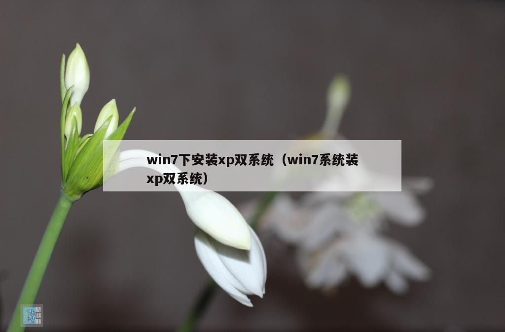 win7下安装xp双系统（win7系统装xp双系统）