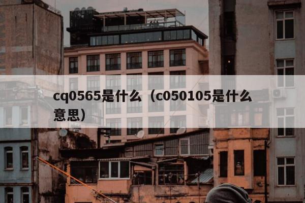 cq0565是什么（c050105是什么意思）