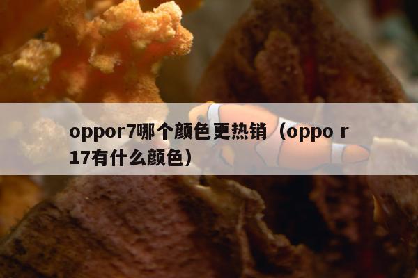 oppor7哪个颜色更热销（oppo r17有什么颜色）