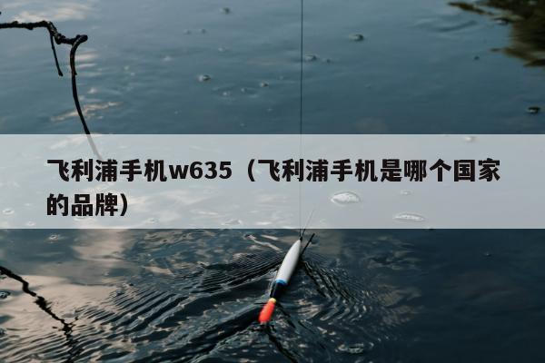 飞利浦手机w635（飞利浦手机是哪个国家的品牌）