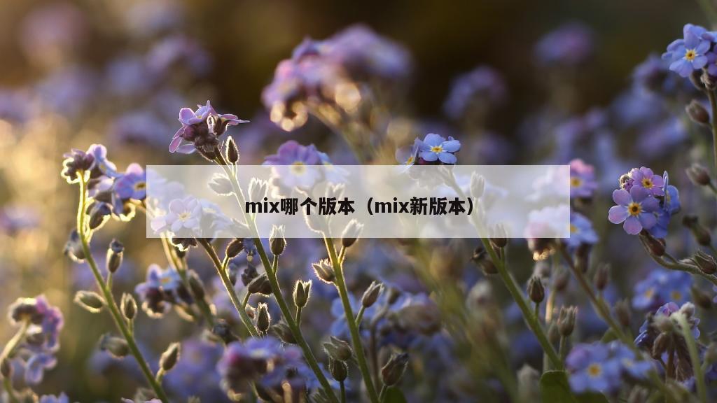 mix哪个版本（mix新版本）