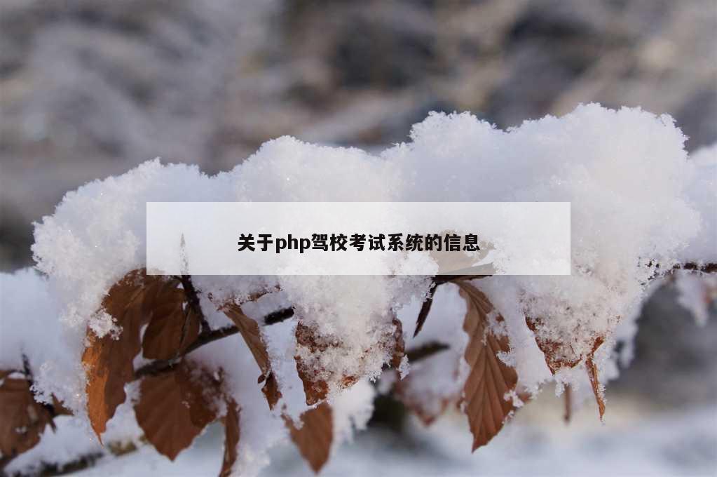 关于php驾校考试系统的信息