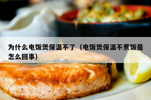 为什么电饭煲保温不了（电饭煲保温不煮饭是怎么回事）