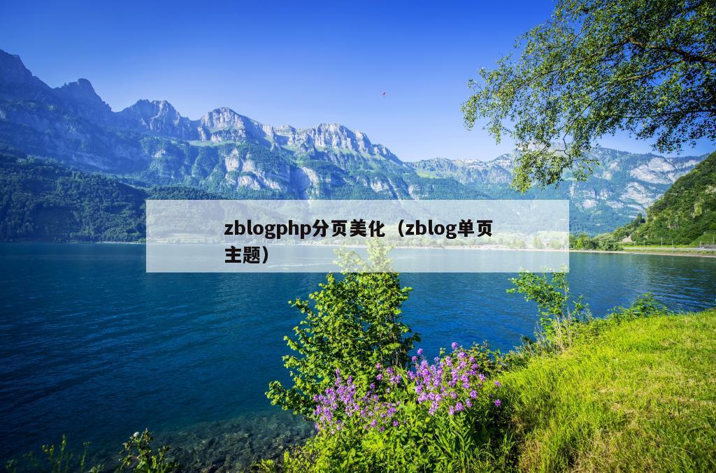 zblogphp分页美化（zblog单页主题）