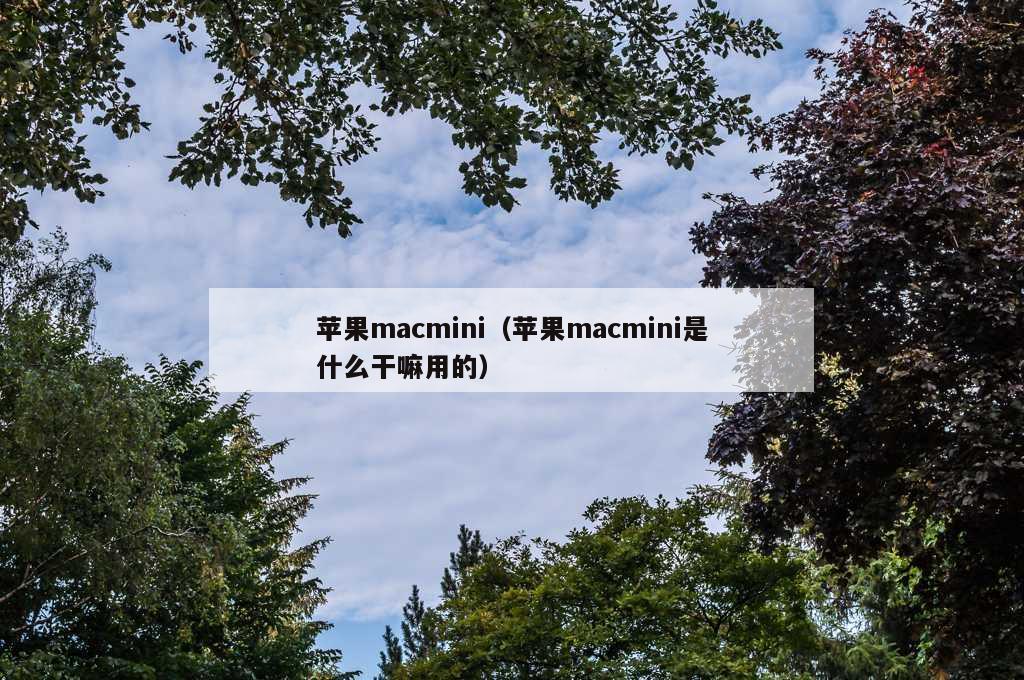 苹果macmini（苹果macmini是什么干嘛用的）