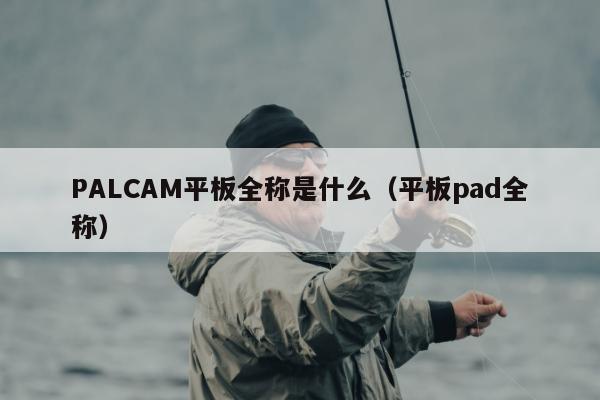 PALCAM平板全称是什么（平板pad全称）