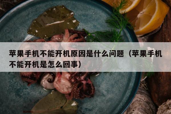 苹果手机不能开机原因是什么问题（苹果手机不能开机是怎么回事）