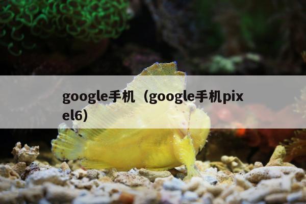 google手机（google手机pixel6）