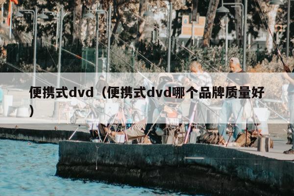 便携式dvd（便携式dvd哪个品牌质量好）