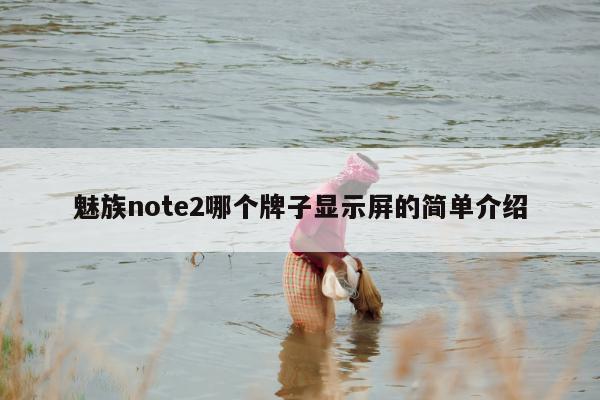 魅族note2哪个牌子显示屏的简单介绍