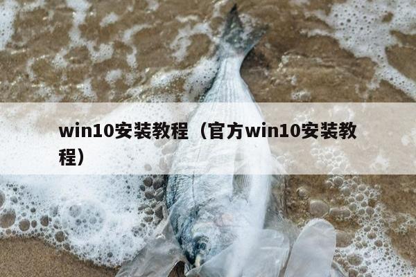 win10安装教程（官方win10安装教程）