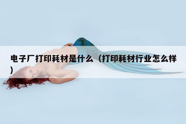 电子厂打印耗材是什么（打印耗材行业怎么样）