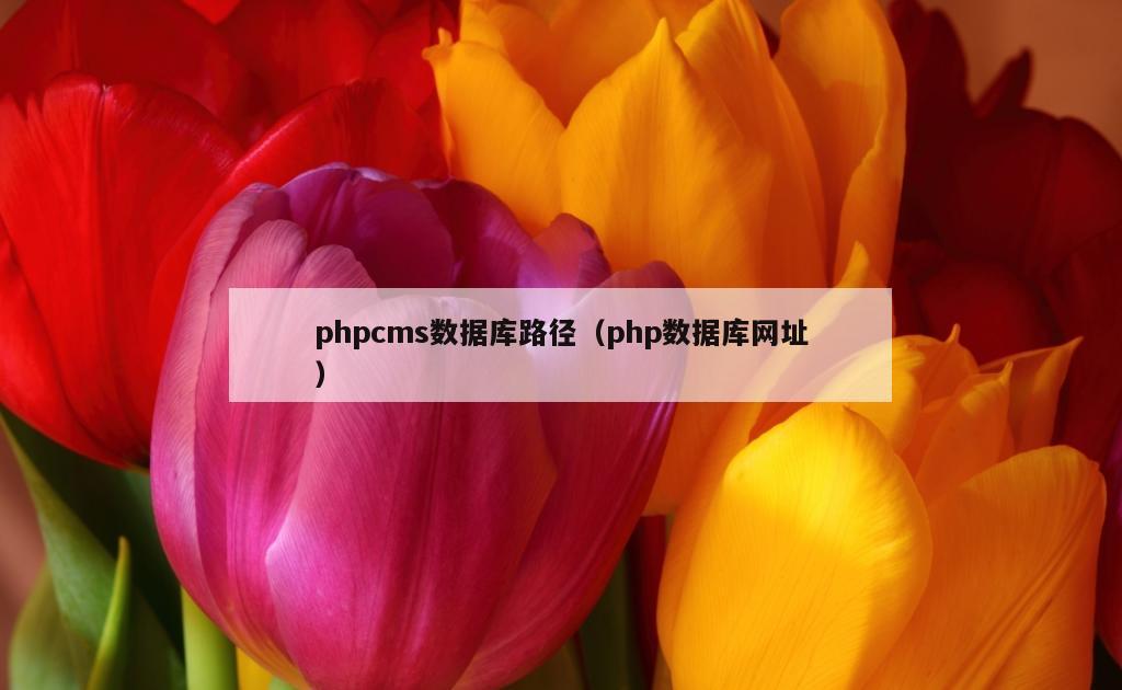 phpcms数据库路径（php数据库网址）