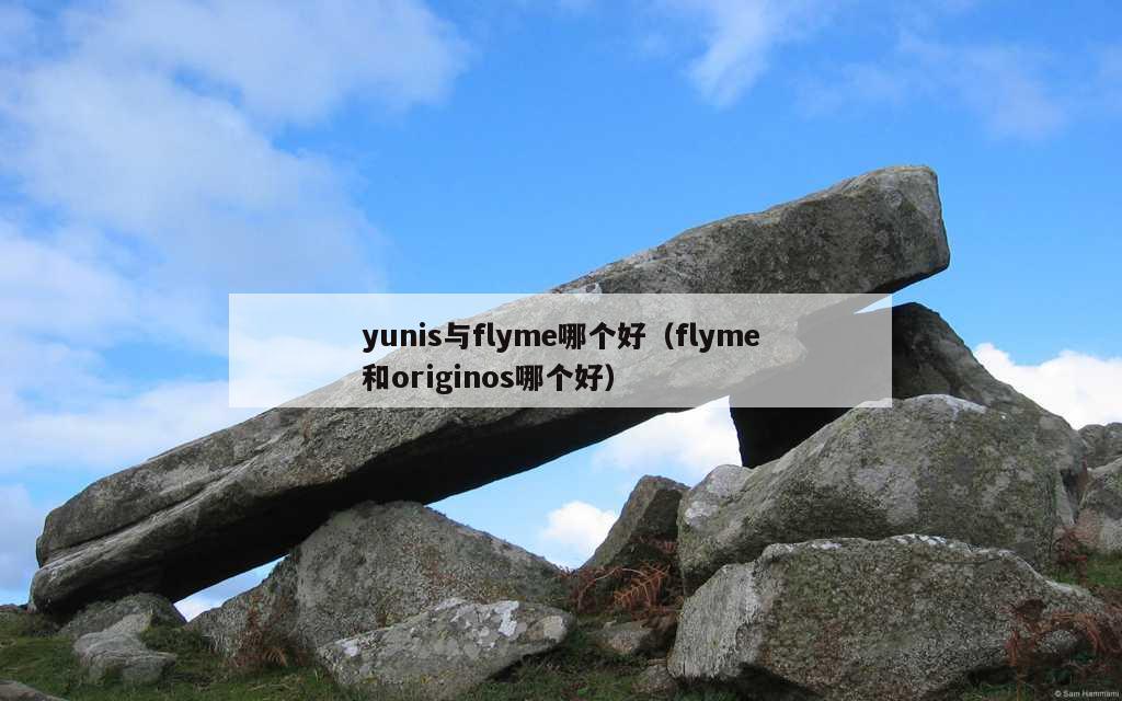 yunis与flyme哪个好（flyme和originos哪个好）