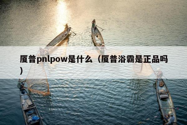 厦普pnlpow是什么（厦普浴霸是正品吗）