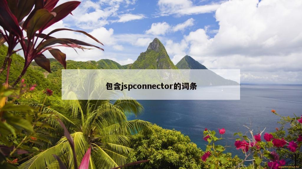 包含jspconnector的词条