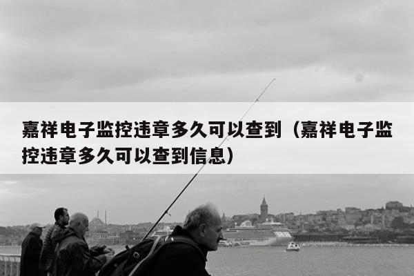 嘉祥电子监控违章多久可以查到（嘉祥电子监控违章多久可以查到信息）