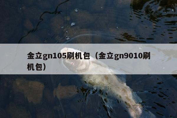 金立gn105刷机包（金立gn9010刷机包）