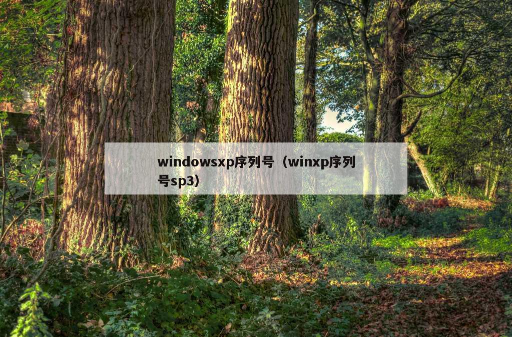 windowsxp序列号（winxp序列号sp3）