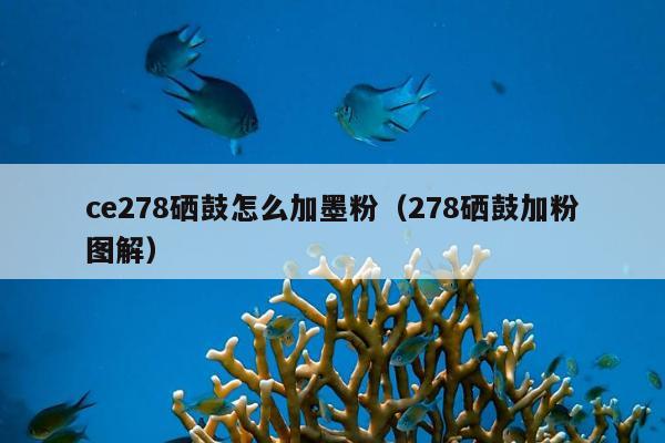 ce278硒鼓怎么加墨粉（278硒鼓加粉图解）