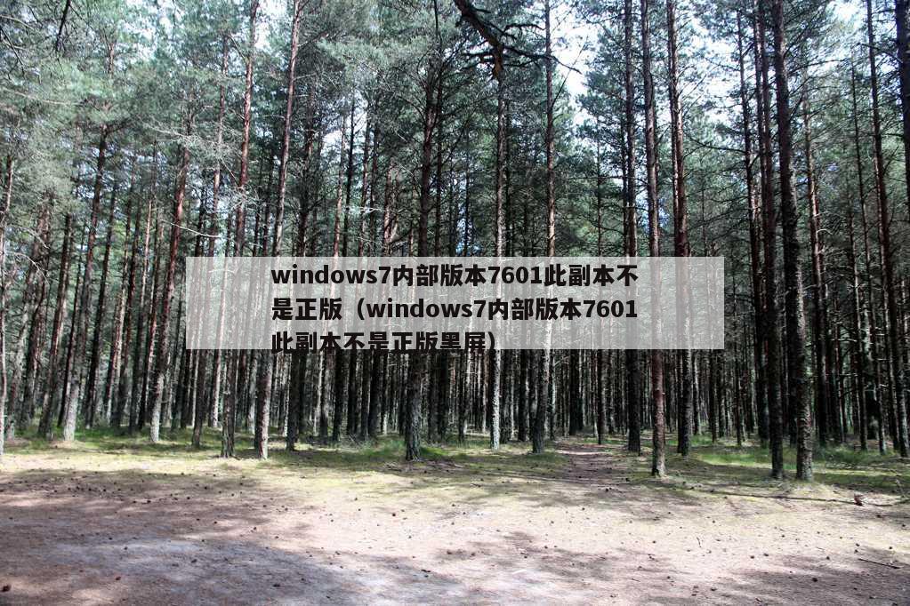 windows7内部版本7601此副本不是正版（windows7内部版本7601此副本不是正版黑屏）