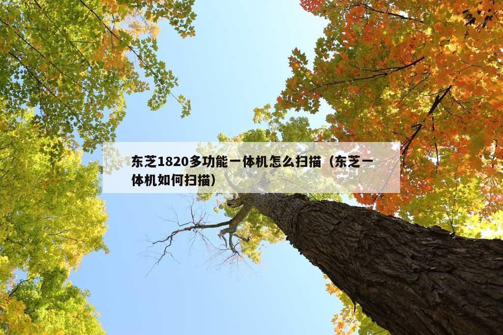 东芝1820多功能一体机怎么扫描（东芝一体机如何扫描）