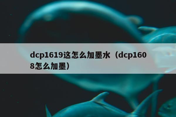 dcp1619这怎么加墨水（dcp1608怎么加墨）