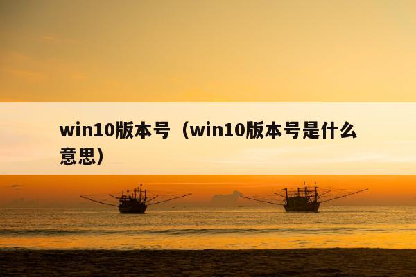 win10版本号（win10版本号是什么意思）