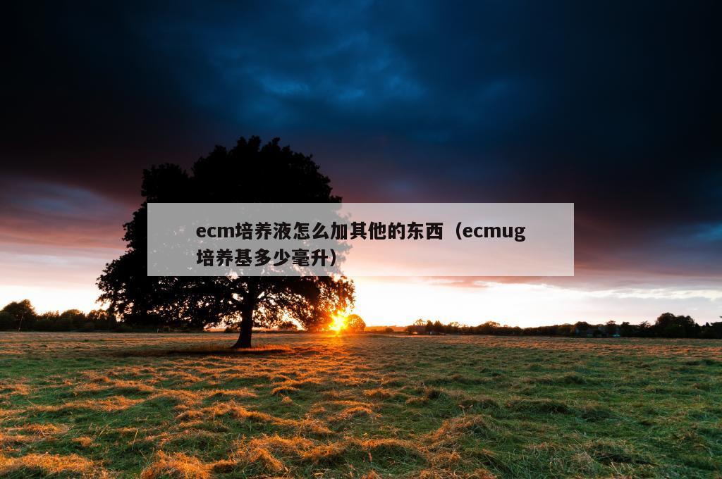 ecm培养液怎么加其他的东西（ecmug培养基多少毫升）