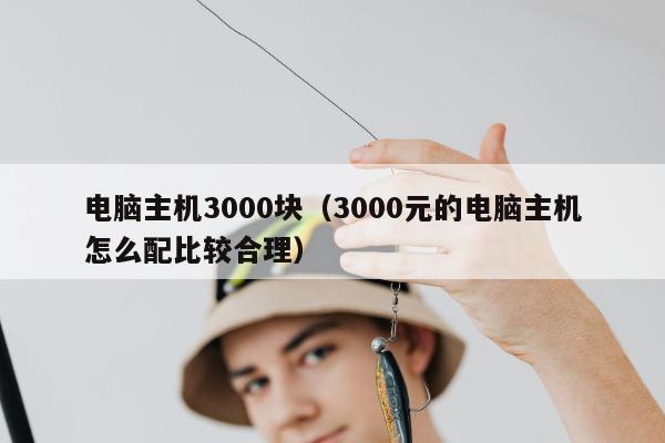 电脑主机3000块（3000元的电脑主机怎么配比较合理）