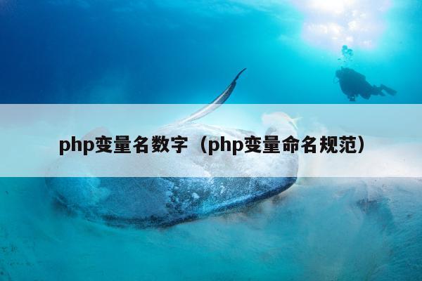 php变量名数字（php变量命名规范）