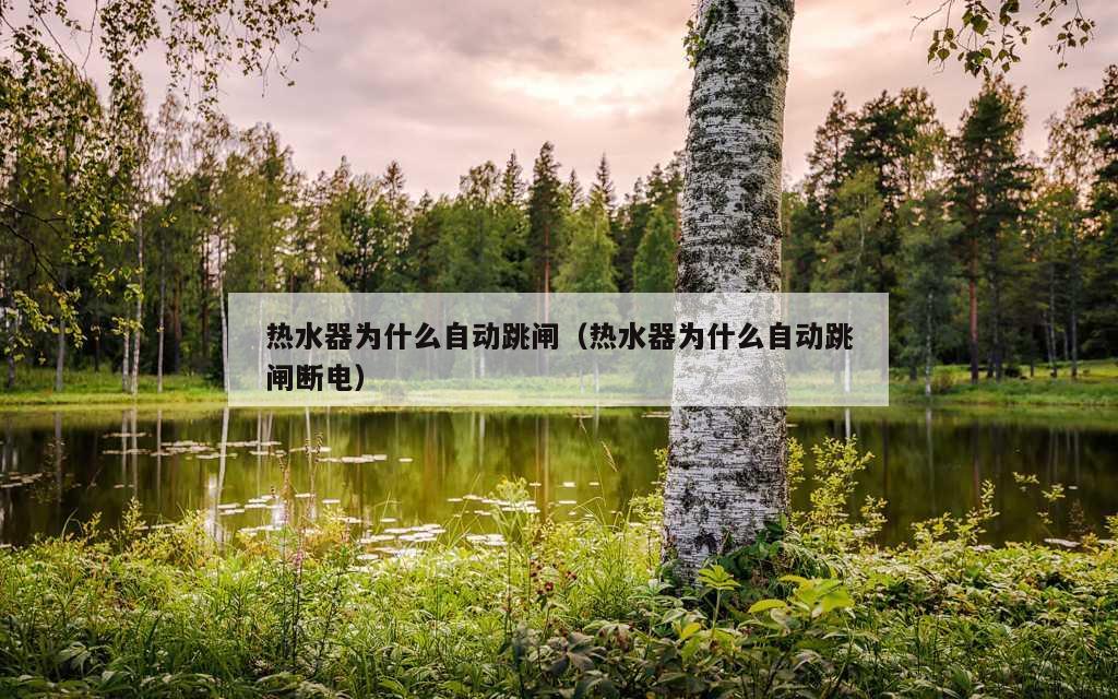 热水器为什么自动跳闸（热水器为什么自动跳闸断电）