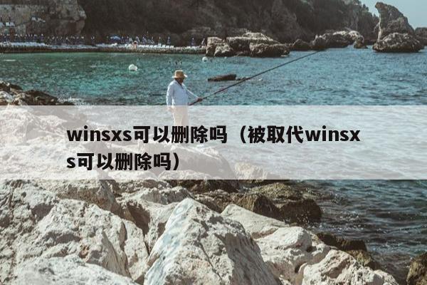 winsxs可以删除吗（被取代winsxs可以删除吗）