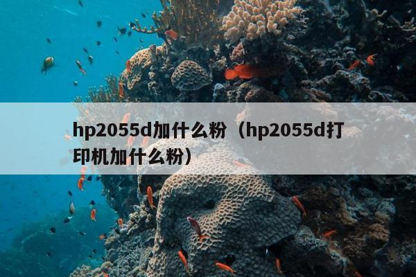 hp2055d加什么粉（hp2055d打印机加什么粉）