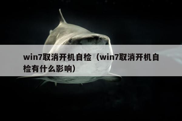 win7取消开机自检（win7取消开机自检有什么影响）