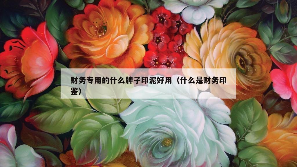 财务专用的什么牌子印泥好用（什么是财务印鉴）