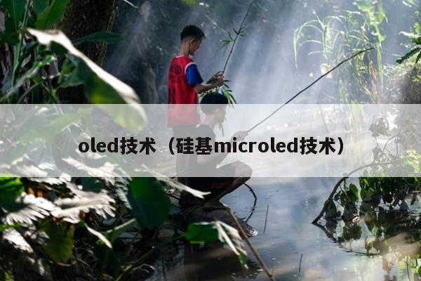 oled技术（硅基microled技术）