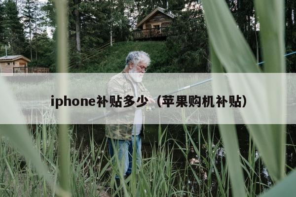 iphone补贴多少（苹果购机补贴）