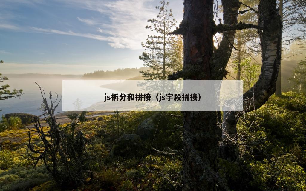 js拆分和拼接（js字段拼接）