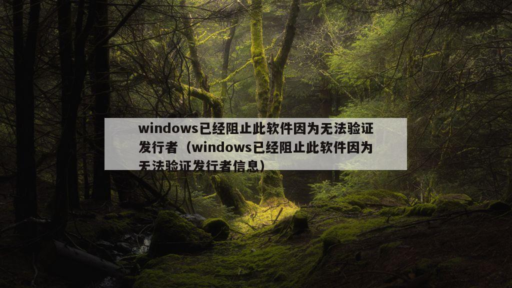 windows已经阻止此软件因为无法验证发行者（windows已经阻止此软件因为无法验证发行者信息）