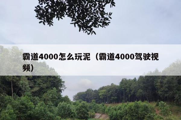 霸道4000怎么玩泥（霸道4000驾驶视频）