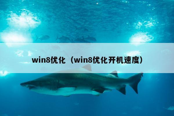 win8优化（win8优化开机速度）