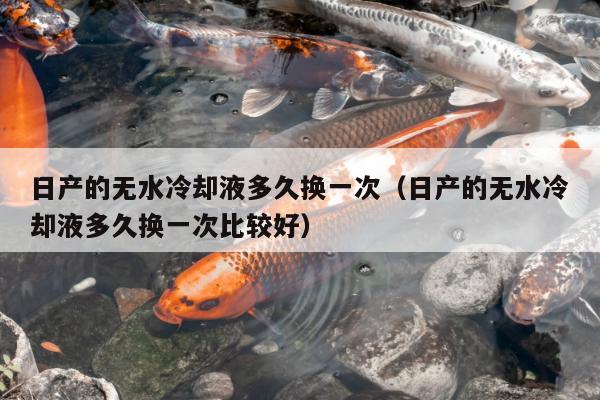 日产的无水冷却液多久换一次（日产的无水冷却液多久换一次比较好）