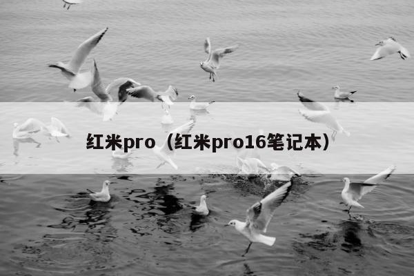 红米pro（红米pro16笔记本）