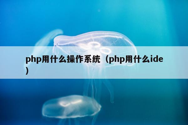 php用什么操作系统（php用什么ide）