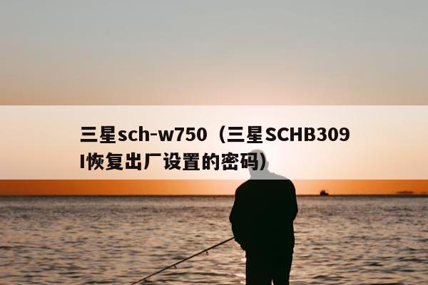 三星sch-w750（三星SCHB309I恢复出厂设置的密码）