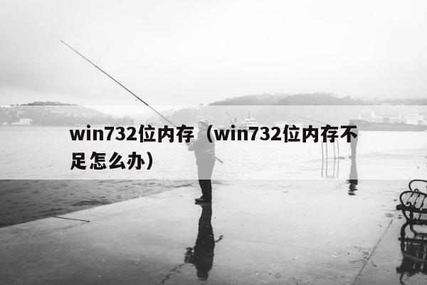 win732位内存（win732位内存不足怎么办）