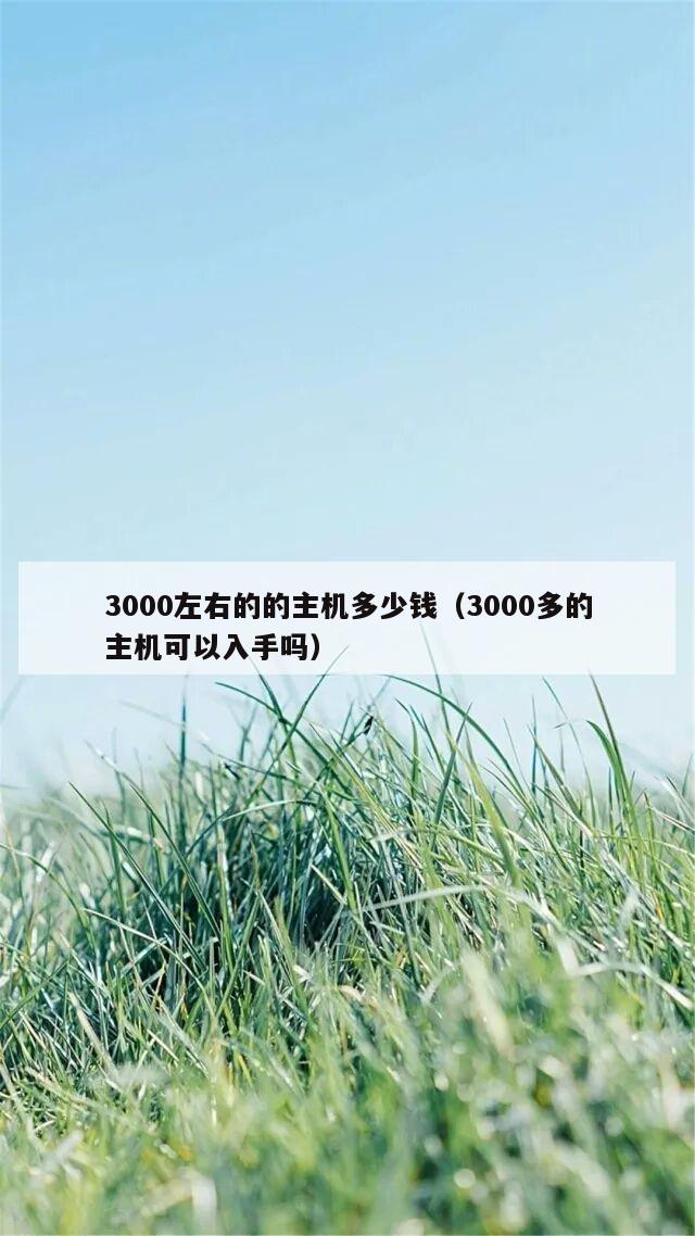 3000左右的的主机多少钱（3000多的主机可以入手吗）