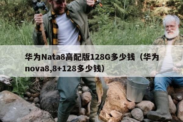 华为Nata8高配版128G多少钱（华为nova8,8+128多少钱）