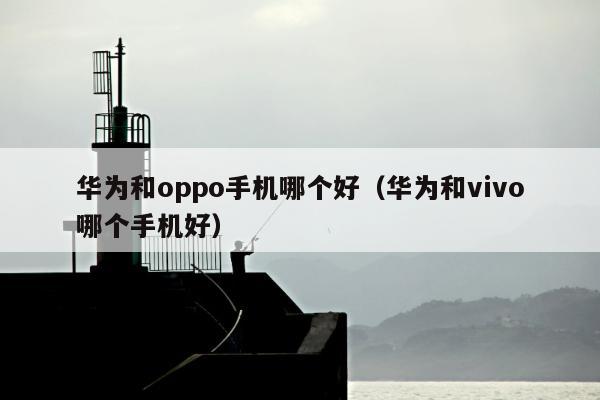 华为和oppo手机哪个好（华为和vivo哪个手机好）